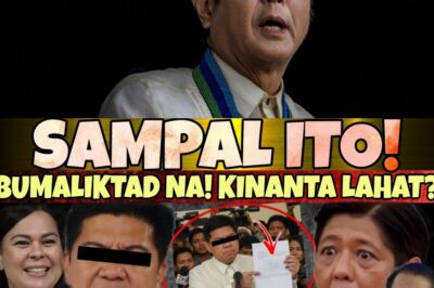 POLITICAL EXPLOSION! The latest news has sent social media into a frenzy as a former member of the “Dilawan” group unexpectedly spoke out about Bongbong Marcos.