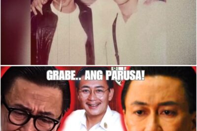 Mula sa Trono Patungo sa Pagkakasibak: Ang Masakit at Kontrobersyal na Pagbagsak ni ER Ejercito Bilang Gobernador ng Laguna at ang Aral na Iniwan Nito sa Politika