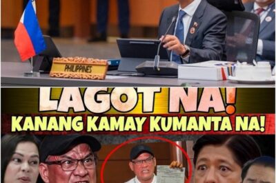 Viral Testimony Sparks Political Firestorm in the Philippines After Man Claiming to Be a Driver Describes Delivering Large Sums of Money to High-Profile Personalities, Raising Questions About Flood Control Projects, Government Spending, and Transparency