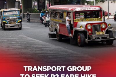Transport Group To Seek P2 Fare Hike