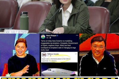 CONTROVERSY EXPLODES! Sara Duterte’s name has unexpectedly become the center of attention as statements related to Harry Roque spread rapidly online!