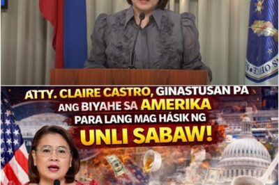 Controversy Over U.S. Trip: Questions Raised About Statements and Spending Linked to Claire Castro