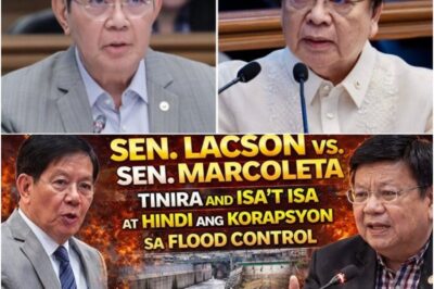 Clash in the Senate: Panfilo Lacson and Rodante Marcoleta Exchange Blows as Flood Control Corruption Debate Ignites Political Firestorm