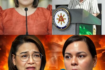 Babala ni Usec. Castro — VP Sara, Posibleng Ma-Disbar