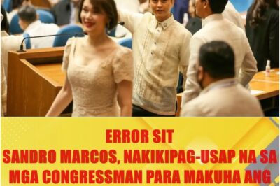 Political Tensions Rise as Sandro Marcos Allegedly Gathers Support for Impeachment Move Against Sara Duterte