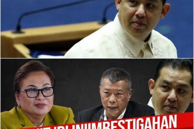 Storm in Philippine Politics: Questions Mount Over Speaker Martin Romualdez and the Silence of the Ombudsman