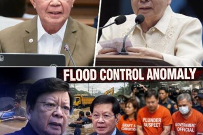 PASABOG SA SENADO! “ANO ANG KINATATAKUTAN MO?!” MARCOLETA, BINUWELTAHAN SI LACSON! TAGU-TAGUAN SA KATOTOHANAN SA ₱1 TRILLYON FLOOD CONTROL SCAM, NABUKO?!