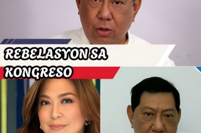 Gisado sa Kongreso: Francis Discaya, ‘Nabulol’ sa Pagtatanong ni Atty. Jinky Luistro Ukol sa Flood Control Payoffs