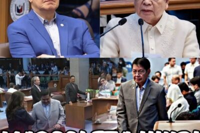 A shocking moment at the hearing! In front of numerous senators, Panfilo Lacson unexpectedly asked Rodolfo Marcoleta directly: “Can you explain this clearly to everyone?”
