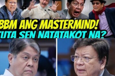 Political Storm in the Senate: Lakson and Marcoleta’s Explosive Face-Off Raises Questions About Power, Investigations, and the Truth Behind Billions