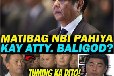 Viral Political Storm: Online Claims Involving Ferdinand Marcos Jr., the National Bureau of Investigation, and Lawyer Levito Baligod Ignite Heated Debate