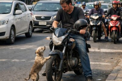 THE TRAFFIC LIGHT WAS STILL RED WHEN A STREET DOG DECIDED TO CHANGE THE DESTINY OF A MAN WHO DIDN’T YET KNOW HE NEEDED IT.