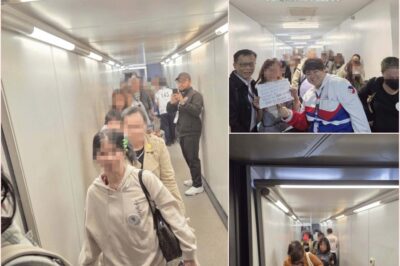 442 Overseas Filipino Workers Return Home from UAE in Government-Assisted Repatriation