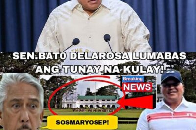 BREAKING POLITICAL NEWS! When Ronald “Bato” dela Rosa made what appeared to be a surprising request!!