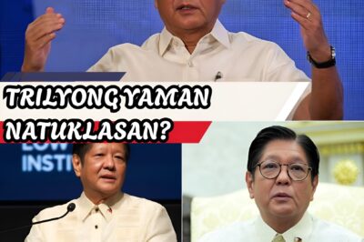 PILIPINAS, NAKAHIGA SA GINTO?! Isang nakakagulat na balita ang yumanig sa bansa matapos madiskubre ang tinatagong kayamanan na aabot sa $26.33 trilyong dolyar! Ang dating tahimik na arkipelago, lumalabas na pala ang tunay na yaman sa ilalim ng ating mga karagatan. Mula sa Malampaya hanggang sa Spratlys, ano nga ba ang misteryong nakabalot sa ating mga likas na yaman na kayang gawing pinakamayaman ang Pilipinas sa buong mundo? Ngunit sa gitna ng mga alitan sa teritoryo, mapapakinabangan ba natin ito o mananatili na lamang na pangarap? Alamin ang buong katotohanan sa likod ng bilyon-bilyong baril ng langis at gas na matagal nang itinatago. Basahin ang buong artikulo sa link na nasa comments section!