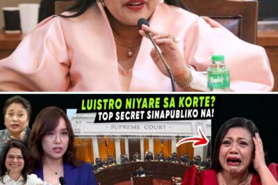 Gvil Luistro sa Bingit ng Pagkakasibak: Lisensya sa Pagka-Abogado Nanganganib Matapos ang Matapang na Hamon ni Guanzon; VP Sara Duterte Panalo Laban sa “Fishing Expedition” ng Kamara!