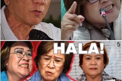 Mula sa Rehas Patungo sa Bagong Bukas! Ang Nakakagulat na Transpormasyon at Tunay na Kalagayan ni Leila de Lima Ngayon na Hindi Inaasahan ng Marami Matapos ang Ilang Taong Pagkaka-detene!