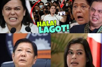 “FISHING EXPEDITION” SA KAMARA: VP SARA DUTERTE SUMABOG NA LABAN SA MGA “POLITICAL ATTACK” AT ISYU NG FLOOD CONTROL SCANDAL
