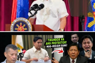 BOMBSHELL: OMBUDSMAN TILA UMAMIN NA SA ‘MALETA SCANDAL’; MGA DATING MARINE AT WHISTLEBLOWERS, GINIGISA NGA BA PARA PAGTAKPPAN ANG MGA NASA ITAAS?