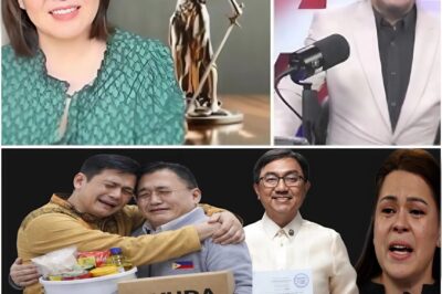Bakit nga ba Humagulgol si Senador Robin Padilla sa Gitna ng Pamimigay ng Ayuda? Ang Katotohanan sa Likod ng Isyu ng Karton na Ngayon ay Pinagdedebatihan ng Maraming Pilipino sa Social Media