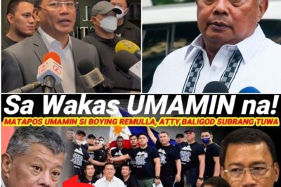 BOYING REMULLA, HULE SA PAG-AMIN? ATTY. BALIGOD, BINUWELTAHAN ANG TIMELINE NG “MALETA DELIVERY”!