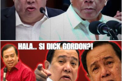 Mula sa Bulwagan ng Senado Patungo sa Harapan ng Kalamidad: Nasaan na nga ba ang Maalamat na ‘Action Man’ na si Dick Gordon at Ano ang Kanyang Pinagkakaabalahan Ngayong 2026?