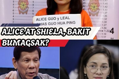 Alice Guo at Shiela Guo: Ang Pagbagsak ng Isang Imperyong Puno ng Lihim at ang Matinding Paghaharap sa Senado