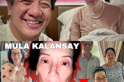 Ang Himala ng Pagbangon ni Kris Aquino Matapos ang Matinding Pagsubok