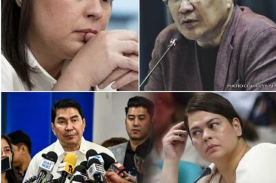 GUMANTYANG MATINDI! ERWIN TULFO, BINANATAN SI VP SARA: “KUNG MALINIS ANG KONSENSYA, BUKSAN ANG MGA DOKUMENTO!” TAGO NGA BA O TAKOT? IMPEACHMENT TRIAL, MAGIGING KATAPUSAN NA BA NG MGA DUTERTE?