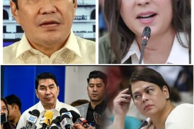 Gimbal ang Lahat! Erwin Tulfo, May Matinding ‘Pasabog’ Tungkol kay VP Sara Duterte; Netizens, Hati ang Reaksyon sa Gitna ng Mainit na Isyung Politika sa Bansa!