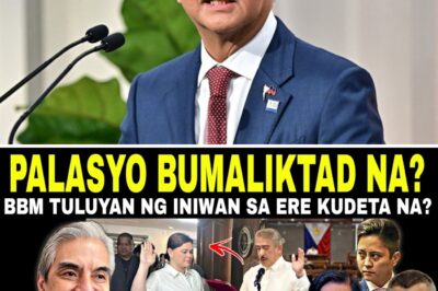 Lamat sa Palasyo: Mga Dating Kakampi Bumaligtad na Habang Panawagan para sa Pamumuno ni VP Sara Lalong Umiigting