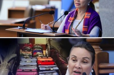 REAL TALK SA SENADO: VAT sa Sardinas at Noodles, Pinapatanggal; Higanteng “Kaltas” sa Pondo ng Bayan dahil sa Katiwalian, Ibinulgar!