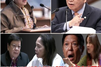 RESBAKAN SA SENADO! MARCOLETA, BINULGAR ANG ‘OIL SYNDICATE’? SEN. LEGARDA, SUMABOG NA SA GALIT: “PERA-PERA NA LANG BA ITO?!”