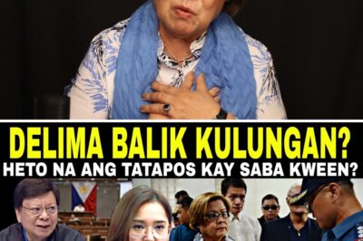 Hustisya o Manipulasyon? Pagbaligtad sa Kaso ni De Lima at ang Pasabog na Rebelasyon ng mga Maletang Puno ng Suhol sa Basement ng Power Players