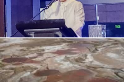 PH facing ‘water bankruptcy’ – DENR chief