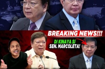 THE PARLIAMENTARY BECOMES THE CENTER OF ATTENTION: EVERY MOVEMENT IS UNDER SCRUTINY!