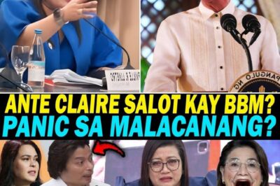 BBM, PINAG-RERESIGN NA?! SHOCKING: ANTE CLAIRE AT PANGULO, NASA IBANG MUNDO?! ATTY. POA, SINUPLAK SI LUISTRO SA “FISHING EXPEDITION” NG KAMARA!