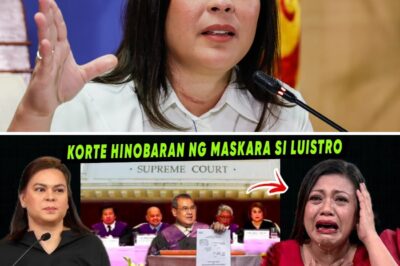 Konstitusyonal na Bakbakan: Defense Team ni VP Sara Duterte, Kinuwestiyon ang “Mini Trial” ng Kamara at Iginigiit ang Senado bilang Tamang Forum sa Impeachment