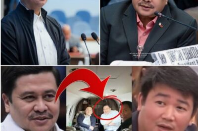 SEN. JINGGOY ESTRADA AT SEN. JOEL VILLANUEVANA, IDINAWIT SA BILYONG PESONG ‘SOP’ SA FLOOD CONTROL!