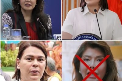 “WALANG SARA-IMEE!” VP SARA, MAY ‘TRAUMA’ SA MGA MARCOS? 2028 PRESIDENTIAL BID, OPISYAL NA!