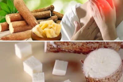 Hindi Lang Pampabusog: 10 Health Benefits ng Kamoteng Kahoy