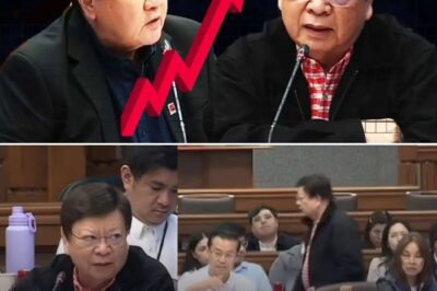 HINDI NA NAKAPAGPIPIL! MARCOLETA, NAG-WALKOUT SA MATINDING GALIT! DOE, NABULGAR ANG KAKULANGAN? “₱3 BILYON KADA ARAW NA KITA, PERA NG TAUMBAYAN ANG GINAMIT!”