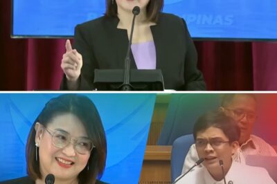 P500 Milyong Danyos: Ang Matinding Banggaan nina Castro at Leviste