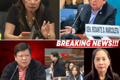 WALANG MASAGOT?! SEN. MARCOLETA, NAG-WALKOUT SA MATINDING GALIT! DOE SEC. SHARON GARIN, NGANGA SA ‘ROCKETS AND FEATHERS’ NG PRESYO NG LANGIS!