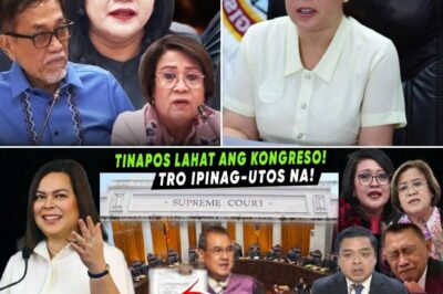 SABOG ANG KONGRESO! RIDON, LUISTRO, DE LIMA, AT ABANTE, NAGING “MUKHANG TANGA” SA SUPREME COURT?! VP SARA, GINAMITAN NG “SHIELD OF JUSTICE”—IMPEACHMENT, PARALISADO!