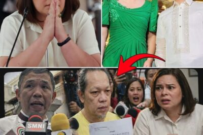 KAMPO NI VP SARA, NAG-PANIC NA NGA BA? TAKOT KAY MADRIAGA KAYA TUMAKBO SA SUPREME COURT? IMPEACHMENT, PIPIGILAN NA?!