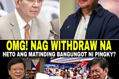 FINISH NA?! SENADO NABUWAG? SINO ANG NALAGLAG? SEN. PING LACSON, INIWAN SA ERE NG MGA KASAMA! “SECRET” NI SOTO AT LACSON, BUKING NA?!