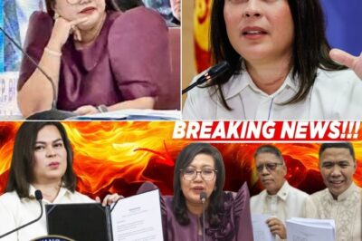 SURVEY SHOCK! VP SARA, SOLIDO PA RIN SA TOP SPOT; LLAMAS AT MGA KRITIKO, NGANGA SA 40% BASE!