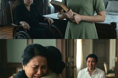 NAG-HIRE ANG ISANG BILYONARYO NG SIYAM NA MGA PROFESSIONAL CAREGIVERS PARA SA KANYANG INA